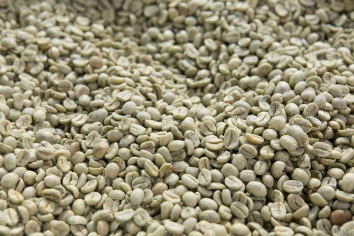 Chicchi di caffè verde anima produzione