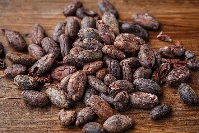fave cacao ghana africa america Emily Urías cioccolato virus modica svizzera