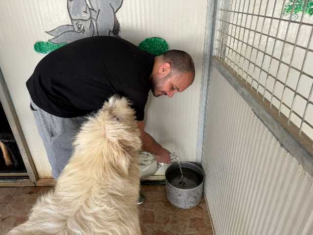 Lo chef Ciro di Maio porta al canile l'acqua avanzata del ristorante