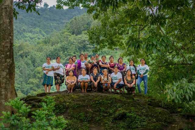 guatemala treedom