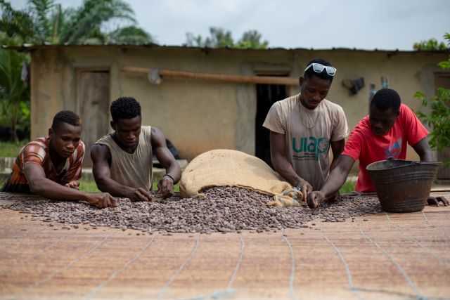 Cacao Solution alle origini (foto concessa)