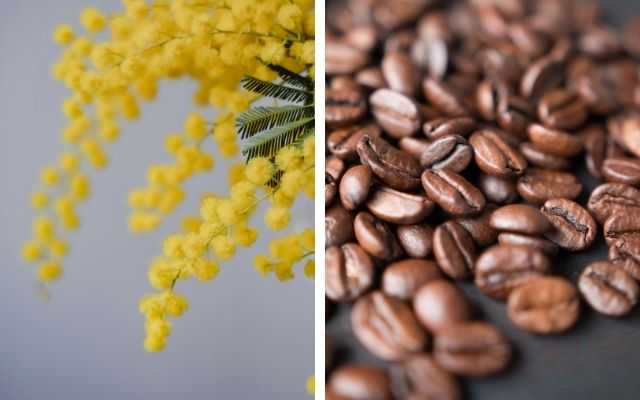 Giornata internazionale della donna caffè